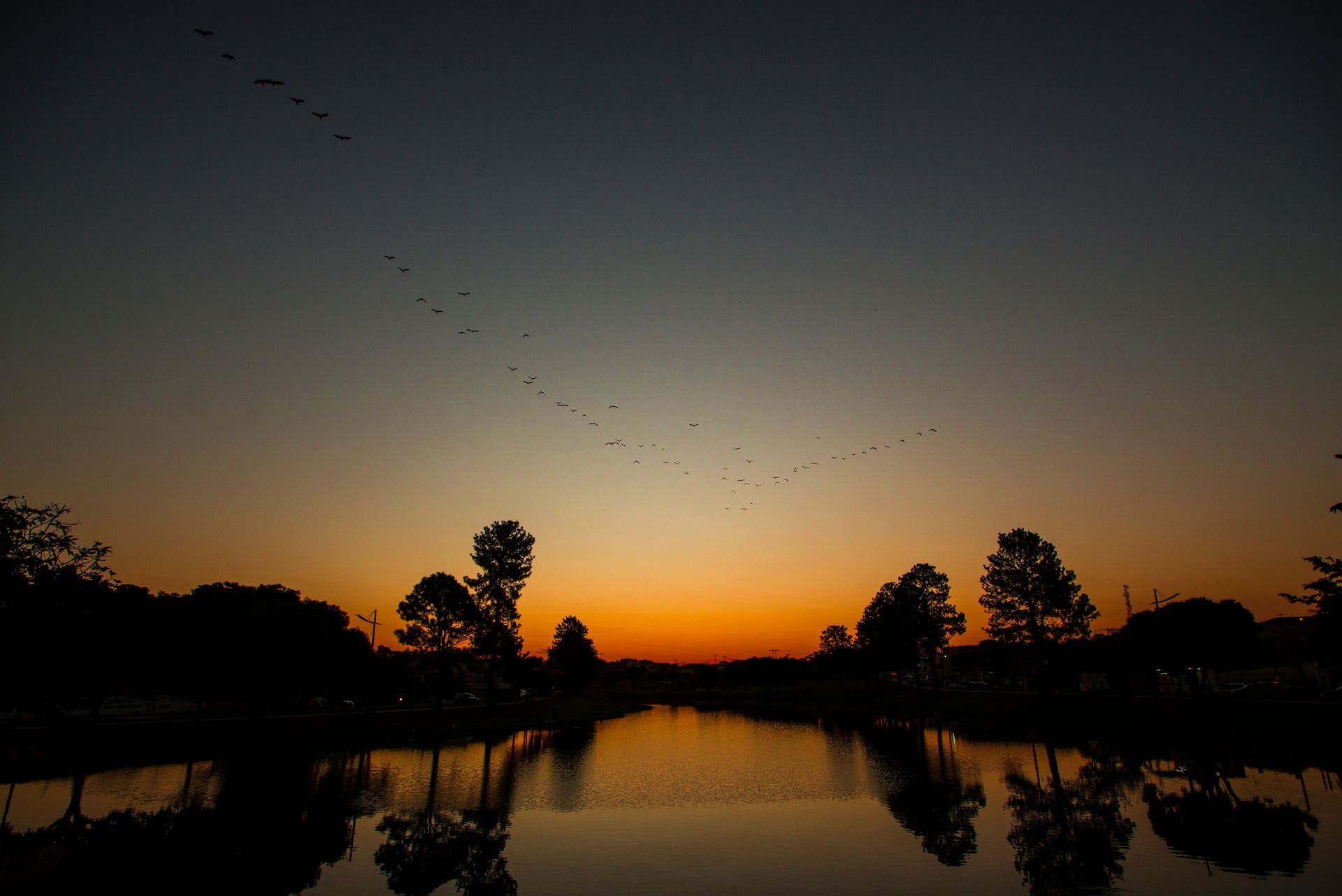 Pôr do sol sobre águas calmas refletindo as árvores. Um bando de pássaros cruza o céu.
