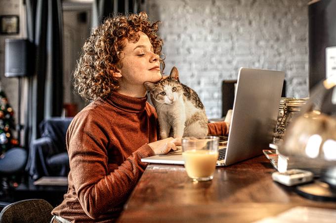 Mulher de cabelos cacheados trabalha no laptop, enquanto um gato a acaricia com o focinho. Um copo de suco está sobre a bancada. Ambiente interno.