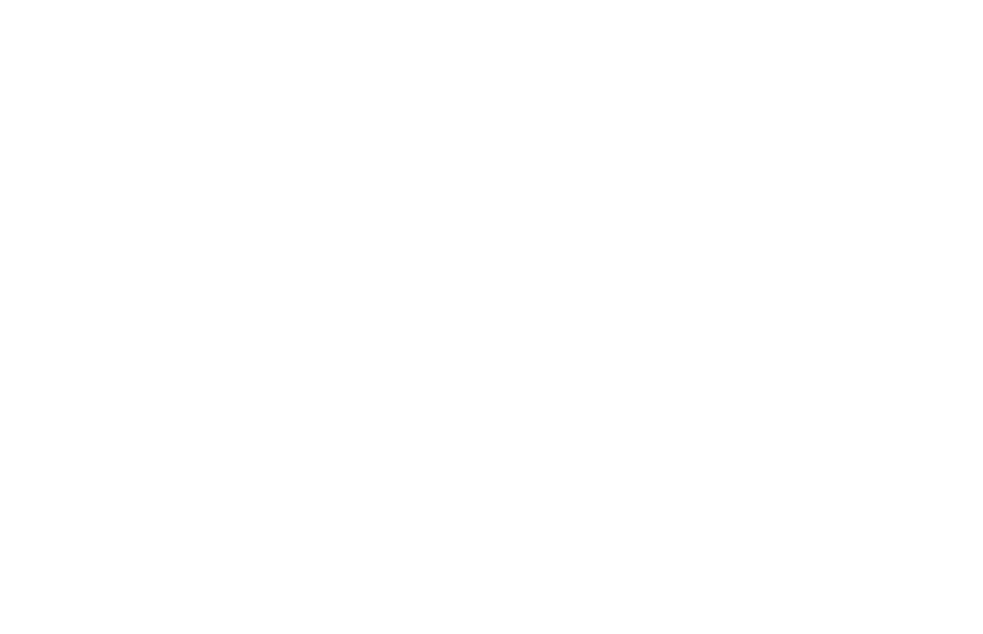 logo-image
