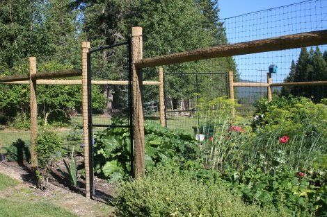 A wooden fence surrounds a garden with lots of plants and flowers.