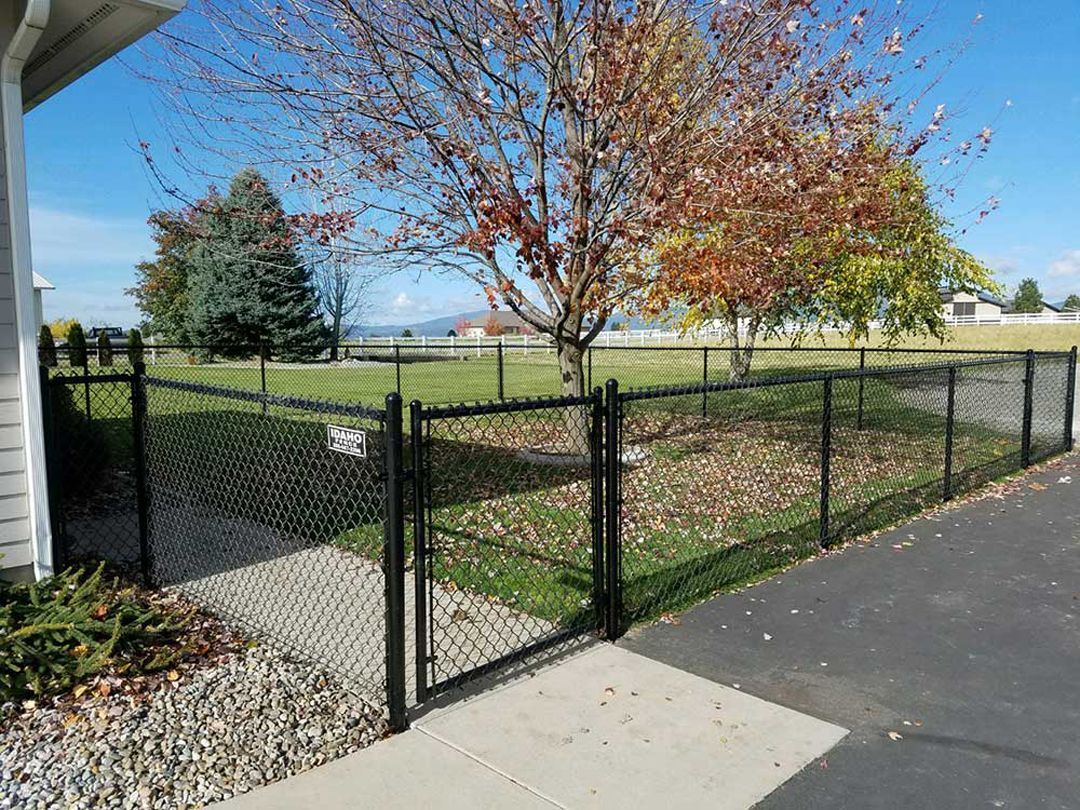 A black chain link fence surrounds a yard next to a house.