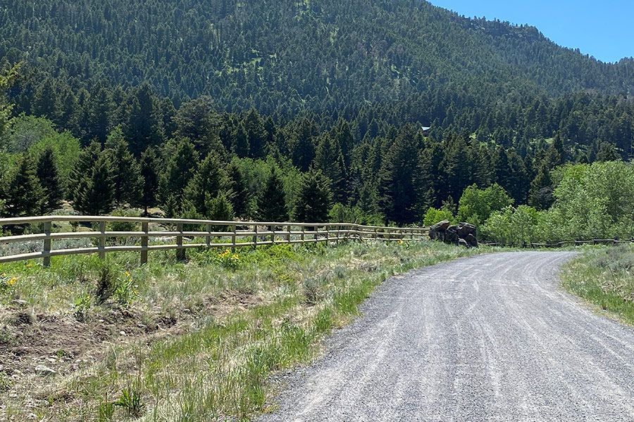 A dirt road going through a forest with a wooden fence.