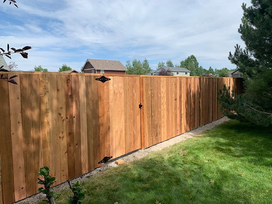 A wooden fence with a gate in the backyard.
