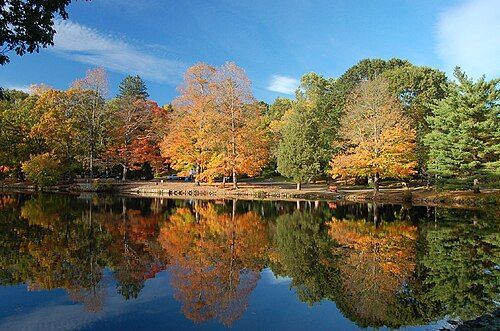Changing leaves on the trees at Bendel Pond/Laurel lake in Stamford, CT.