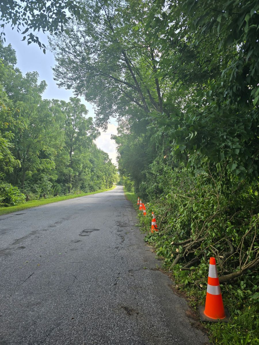 After storm clean up