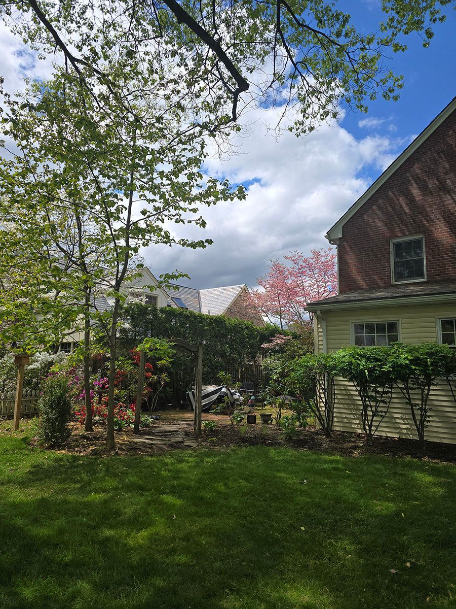 Tree Removal in Wyomissing PA