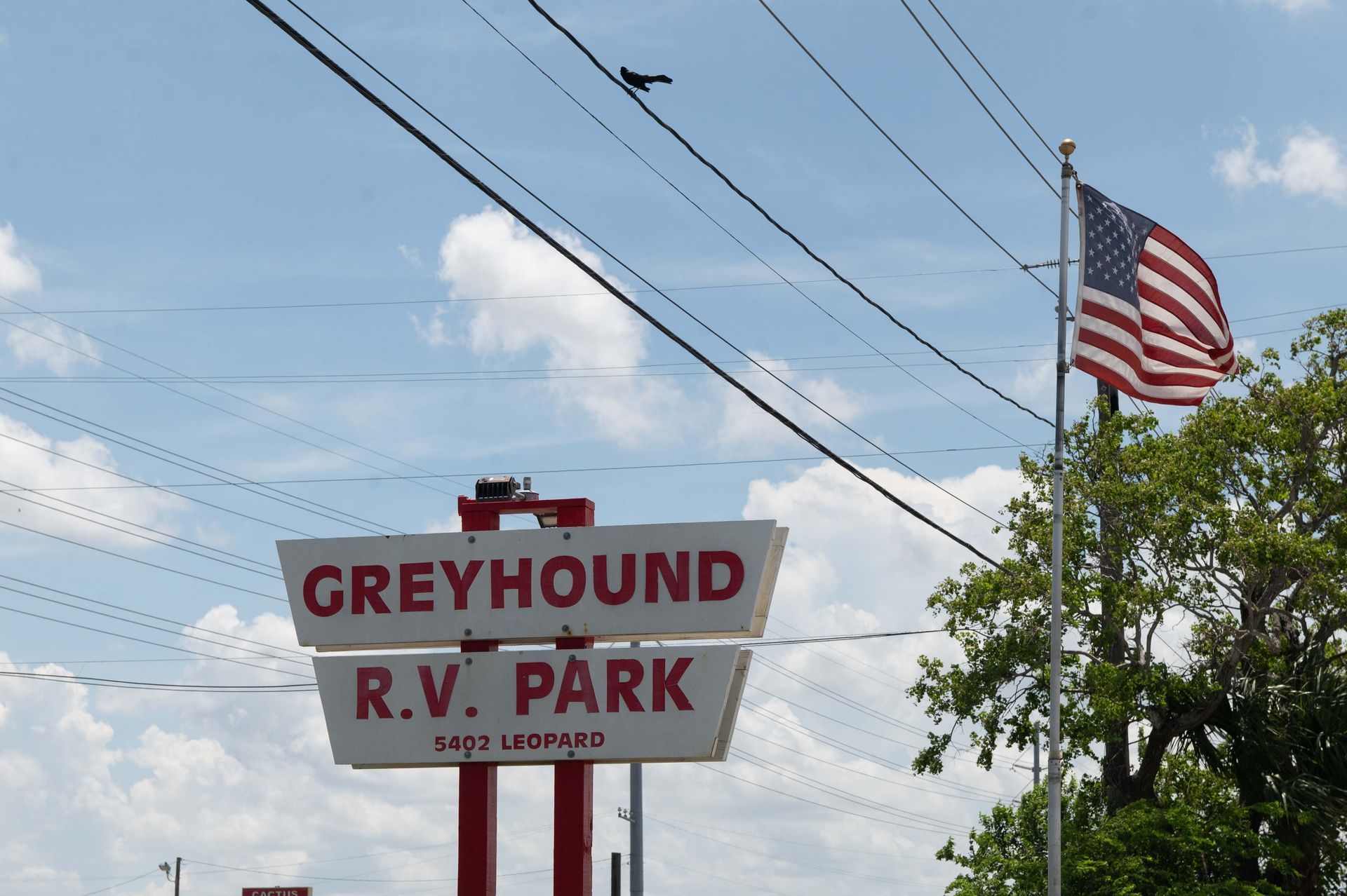Greyhound R.V. Park sign with an American flag against a blue sky