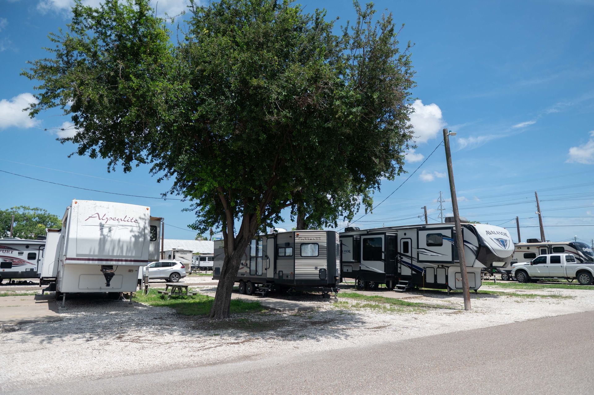 RVs and trailers parked under a large tree in a sunny campground by the roadside