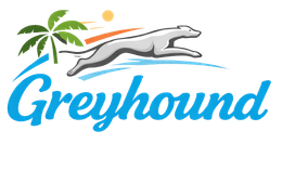 Greyhound logo with a running greyhound, palm trees, sun, and blue wordmark