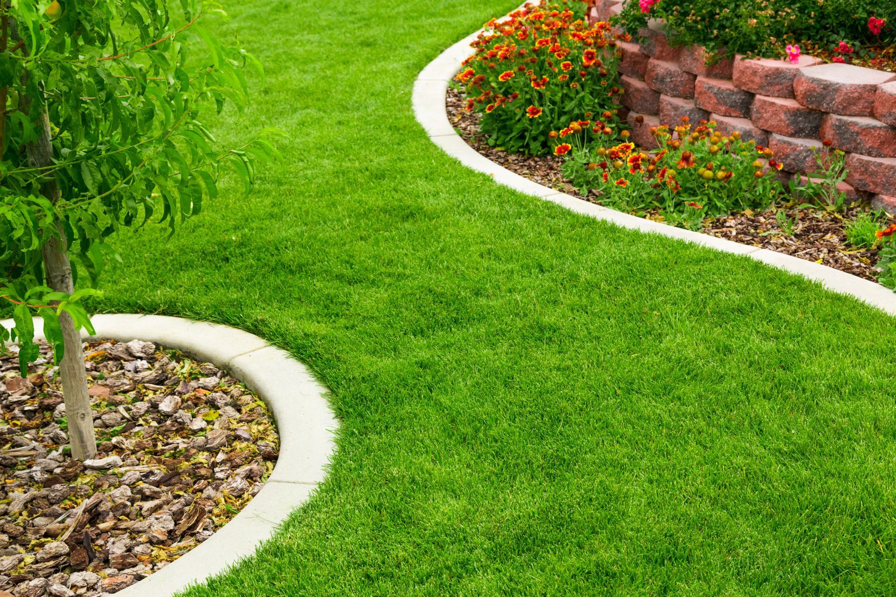 Un bordo curvo in cemento separa un prato verde da un'aiuola con alberi e ciottoli e da un'aiuola con fiori rossi e arancioni.