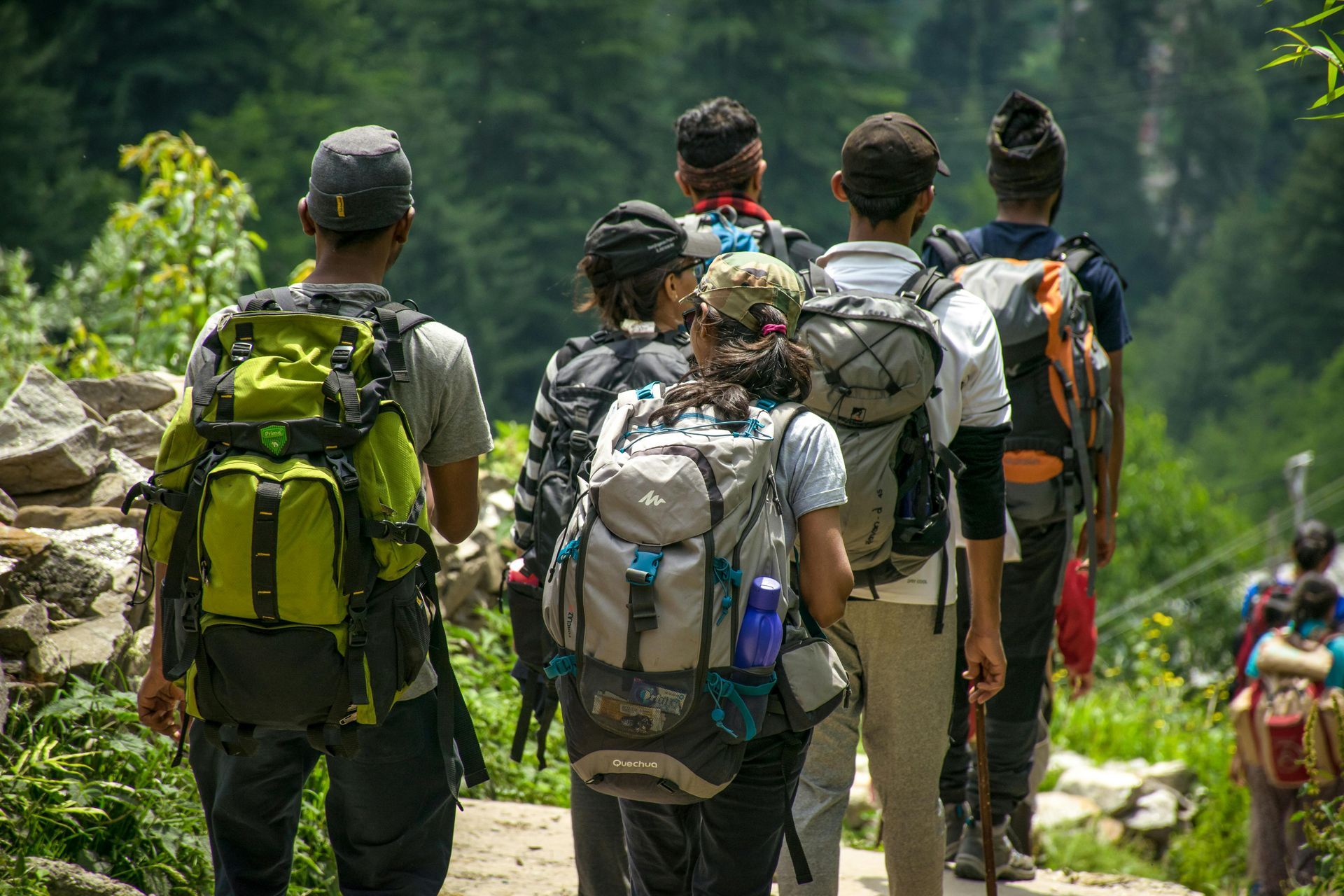 A group of hikers with backpacks trekking along a trail in a green, wooded area.