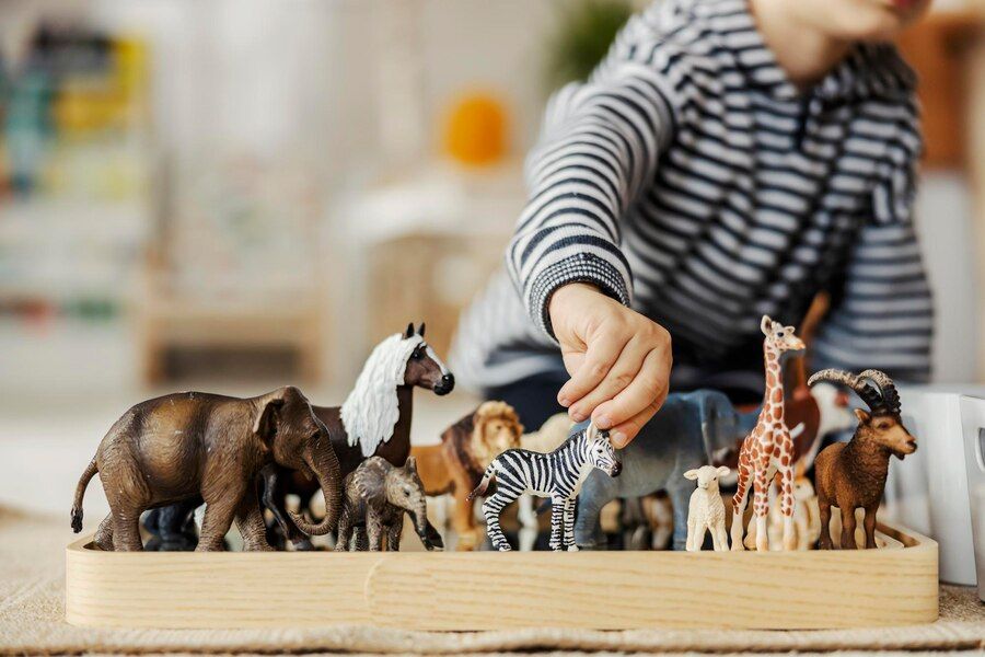 jouer avec des animaux
