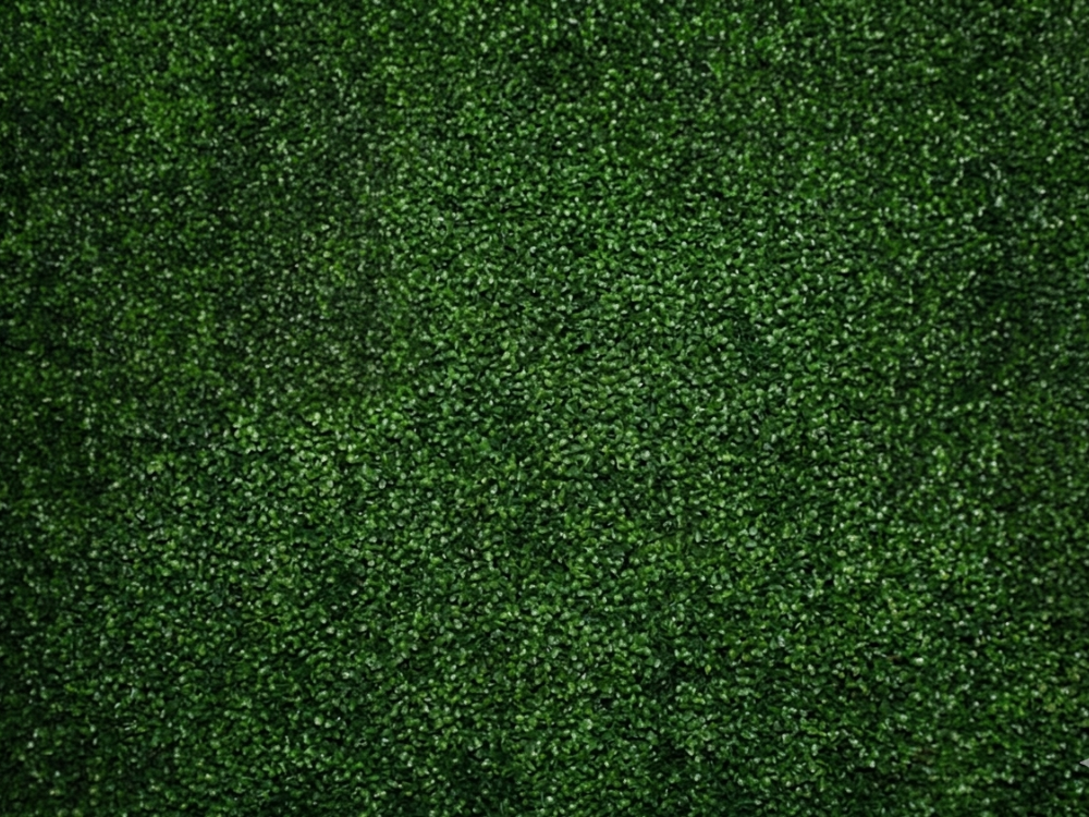 Artificial Grass Backdrop Open Photo Booth Rental New York City Bronx Manhattan Bronx Queens Long Island Nassau County