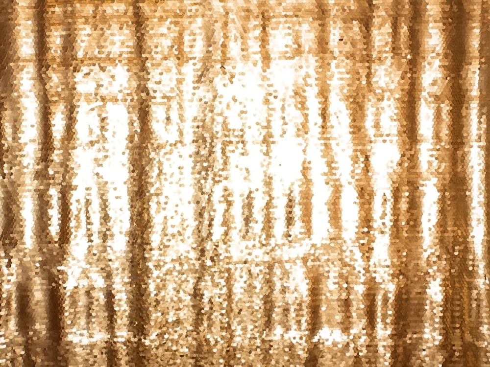 Gold Sparkle Backdrop Open Photo Booth Rental New York City Bronx Manhattan Bronx Queens Long Island Nassau County