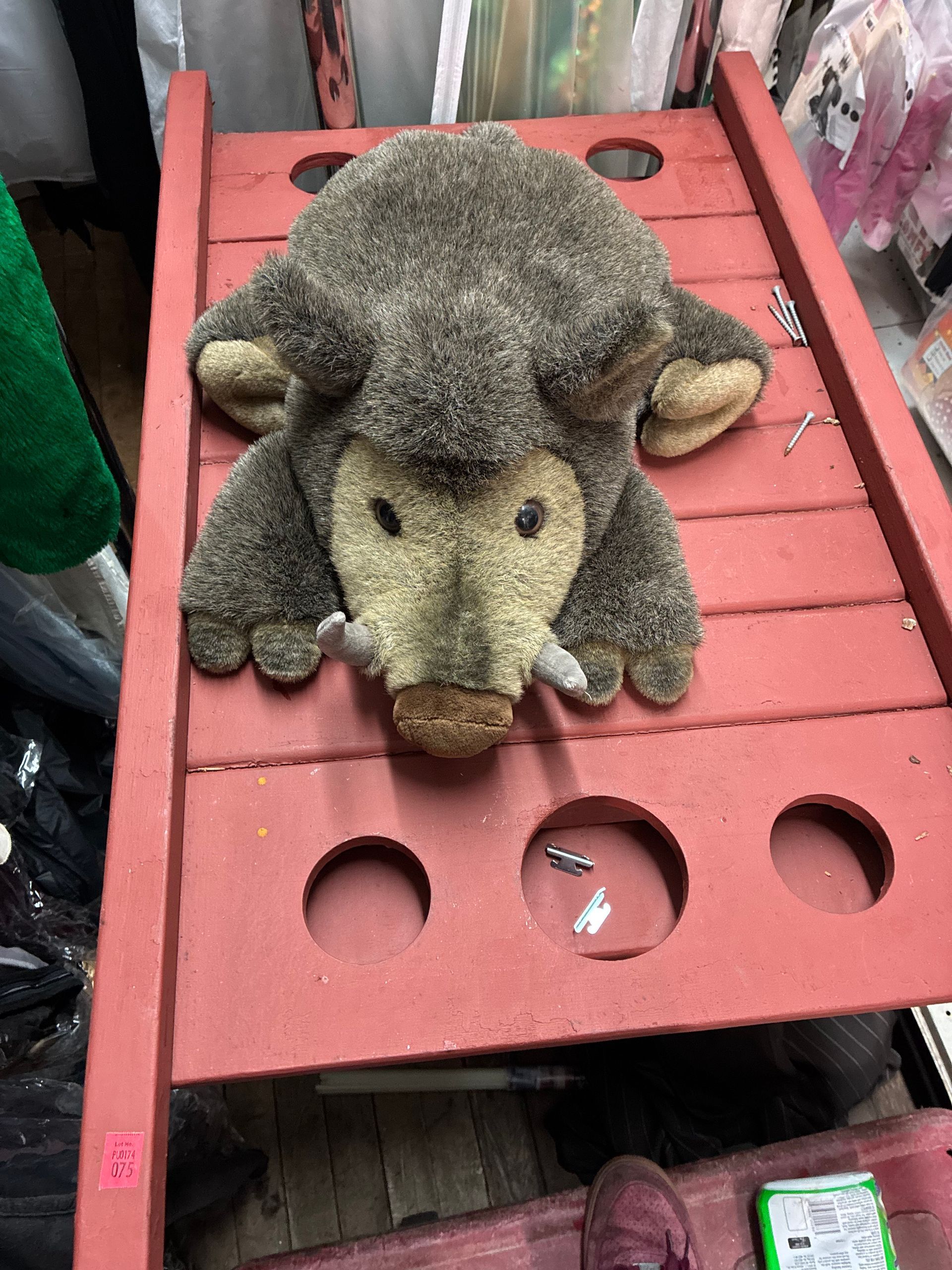 Plush Stuffed Safari Animals Boar Rental New York City Bronx Manhattan Bronx Queens Long Island Nassau County