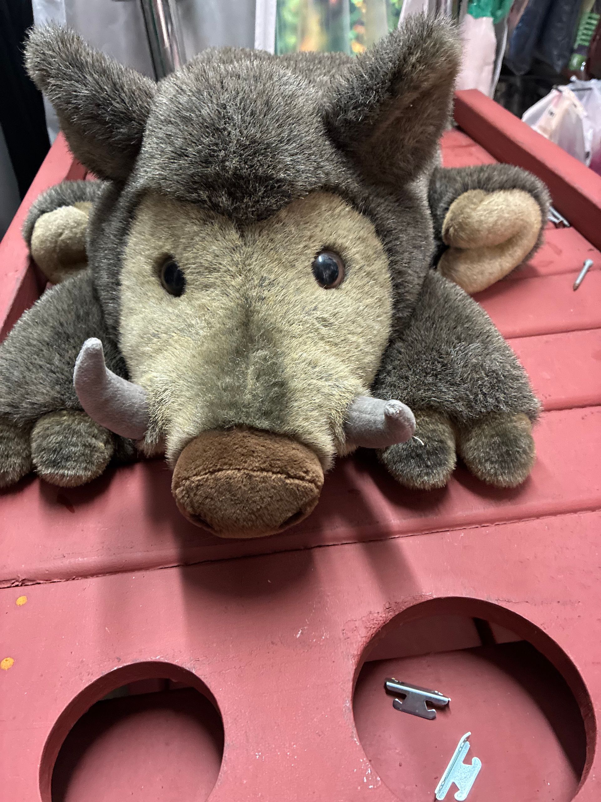 Plush Stuffed Safari Animals Boar Rental New York City Bronx Manhattan Bronx Queens Long Island Nassau County