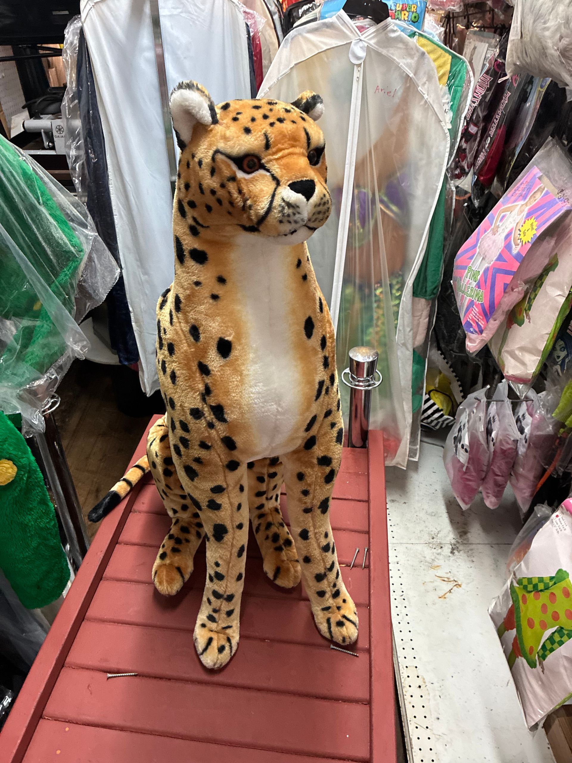 Plush Stuffed Safari Animals Cheetah Rental New York City Bronx Manhattan Bronx Queens Long Island Nassau County