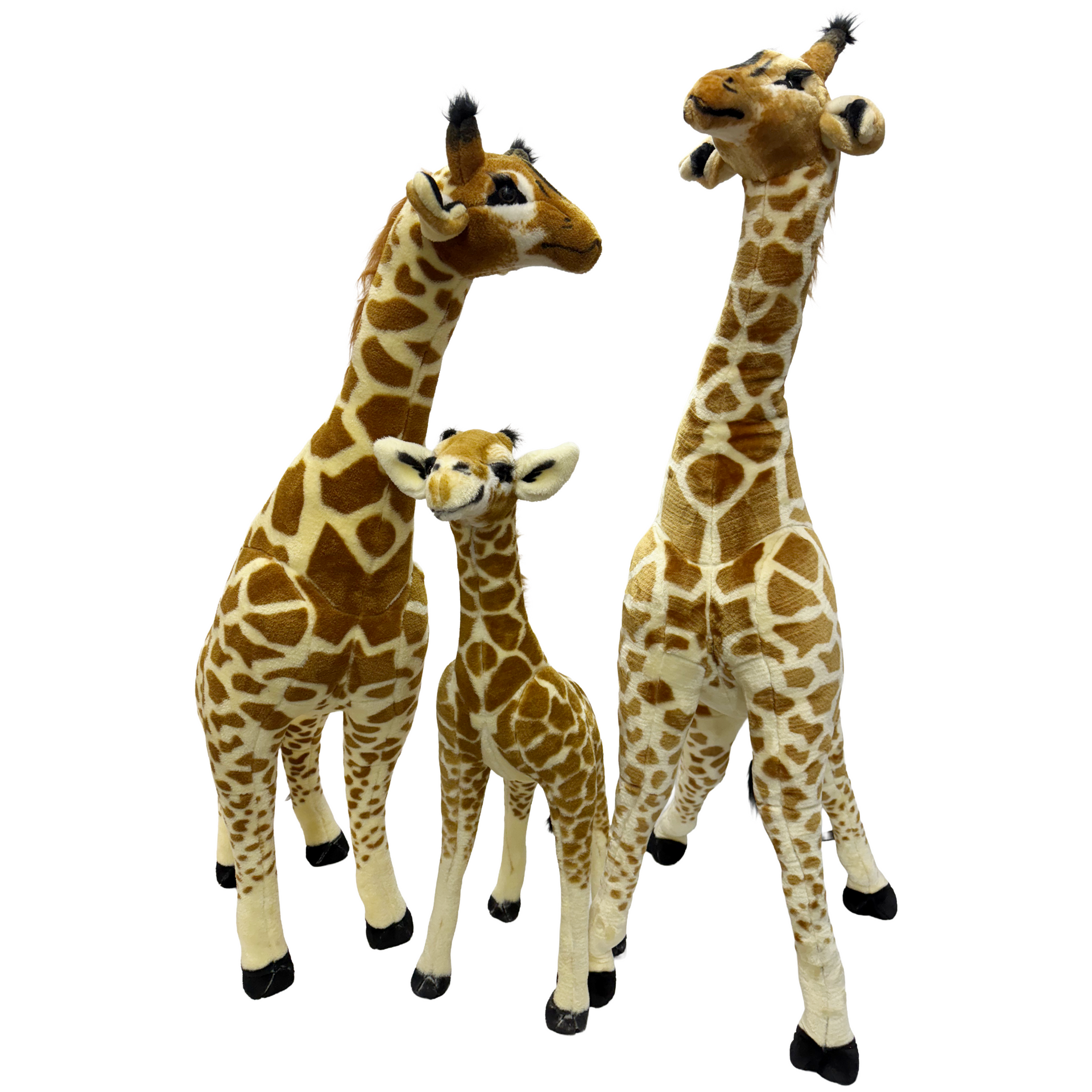 Plush Stuffed Safari Animals Giraffes Rental New York City Bronx Manhattan Bronx Queens Long Island Nassau County
