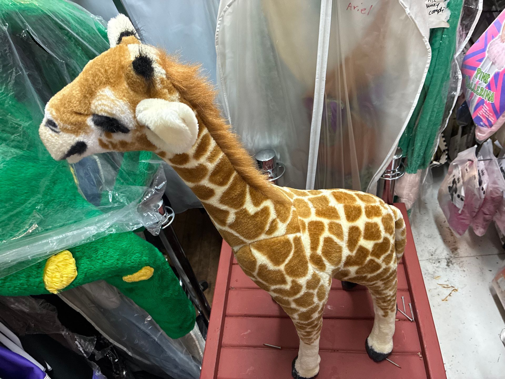 Plush Stuffed Safari Animals Giraffe Rental New York City Bronx Manhattan Bronx Queens Long Island Nassau County