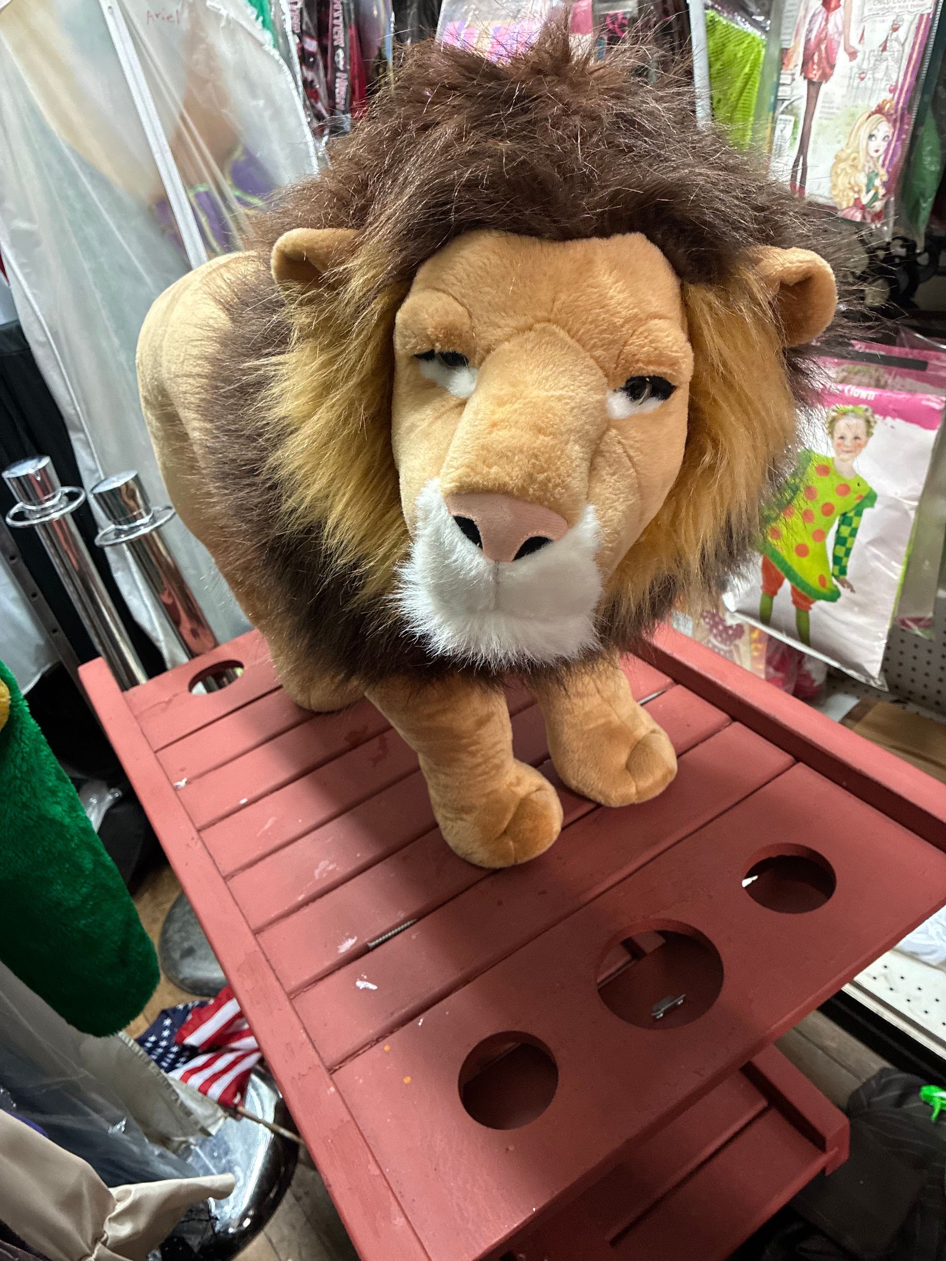 Plush Stuffed Safari Animals Lion Rental New York City Bronx Manhattan Bronx Queens Long Island Nassau County