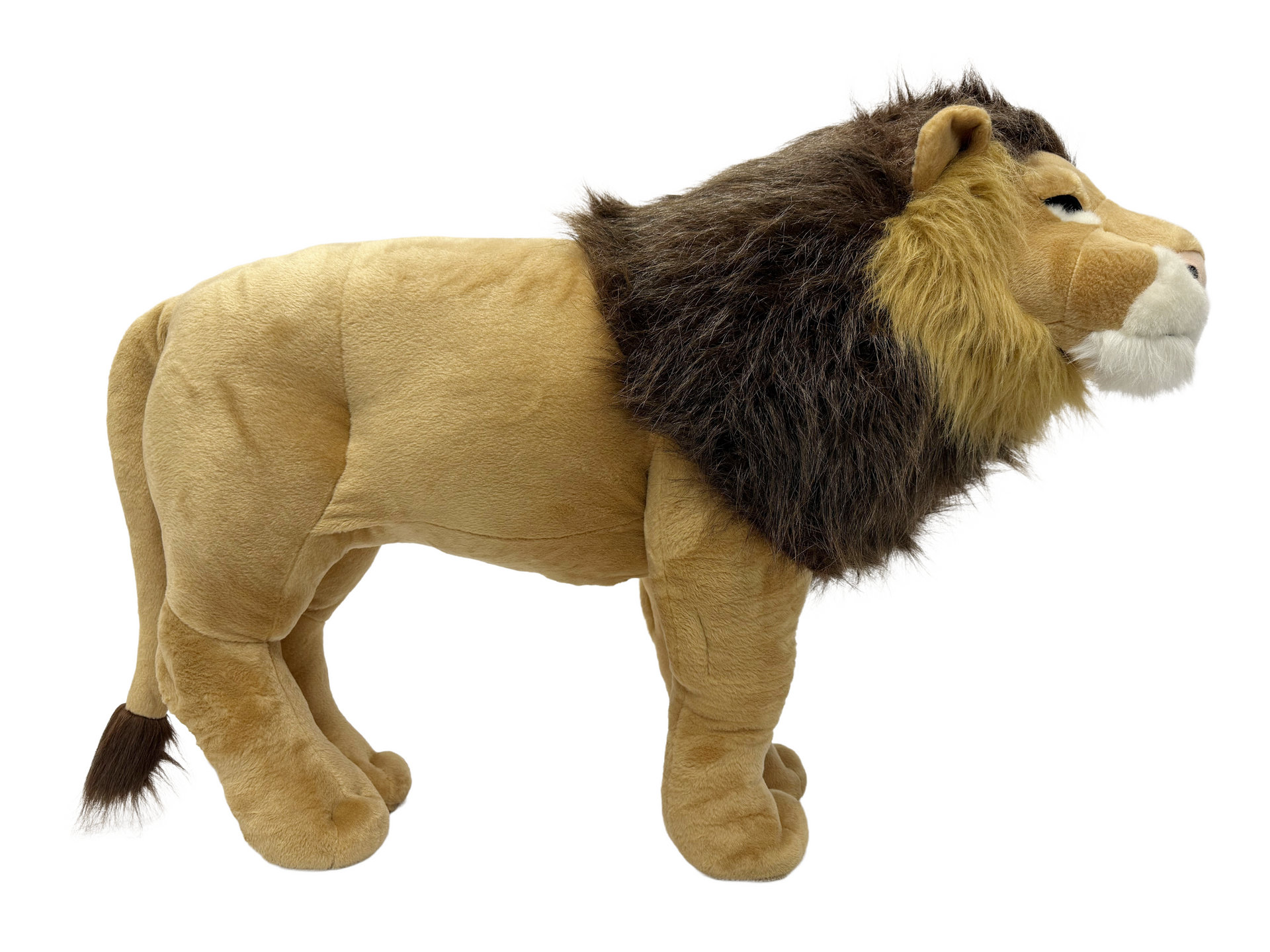 Plush Stuffed Safari Animals Lion Rental New York City Bronx Manhattan Bronx Queens Long Island Nassau County
