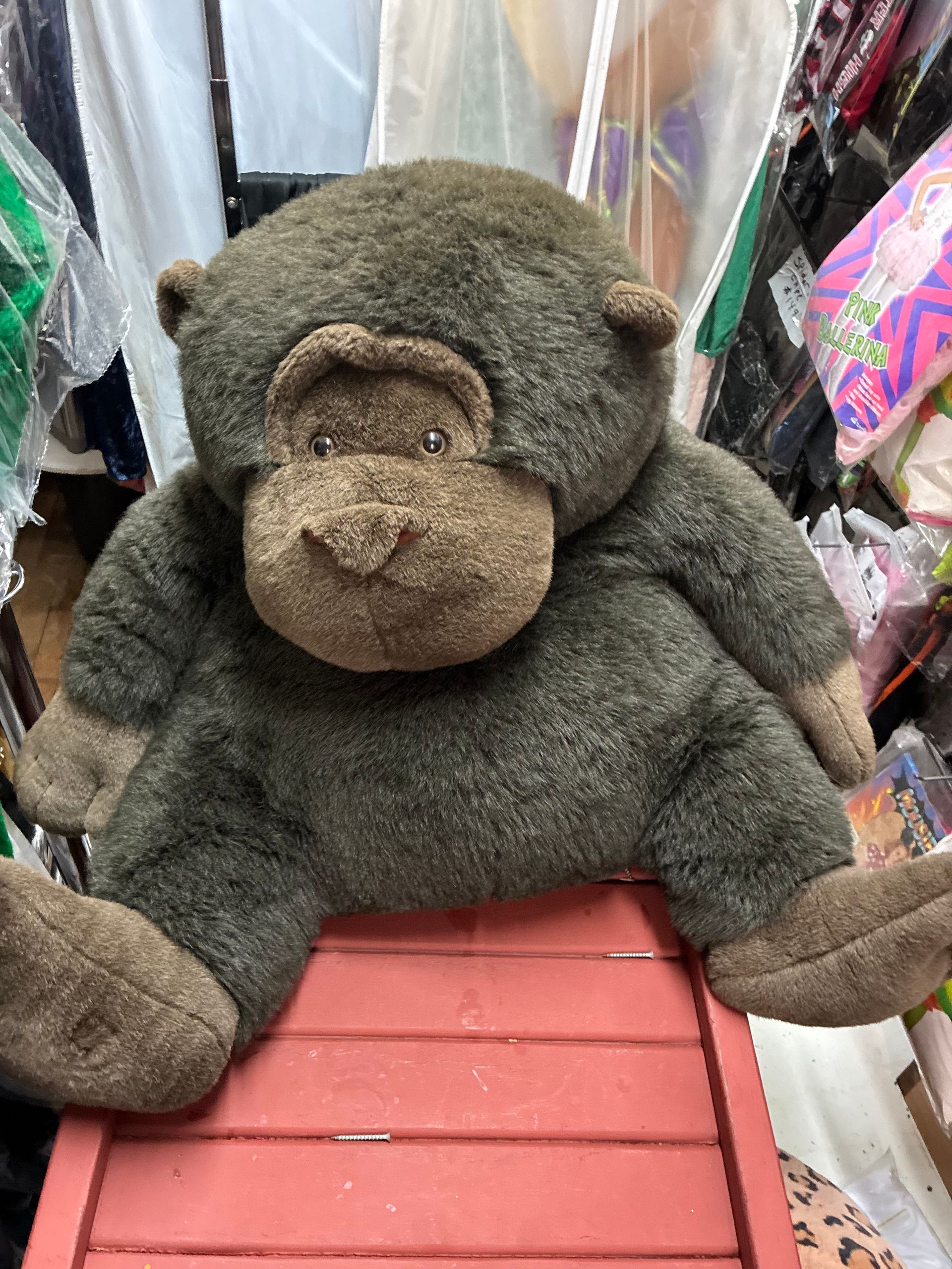 Plush Stuffed Safari Animals Monkey Rental New York City Bronx Manhattan Bronx Queens Long Island Nassau County