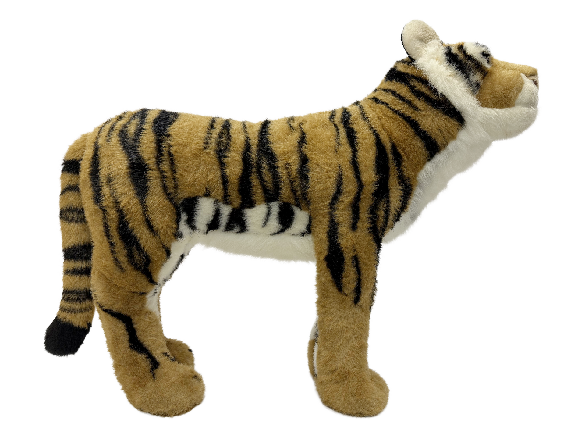 Plush Stuffed Safari Animals Tiger Rental New York City Bronx Manhattan Bronx Queens Long Island Nassau County