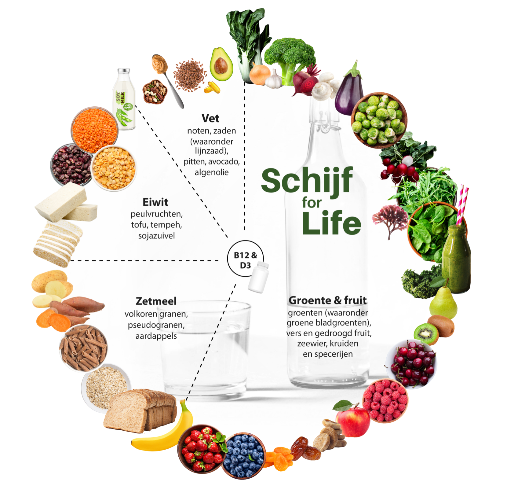 Schijf for Life