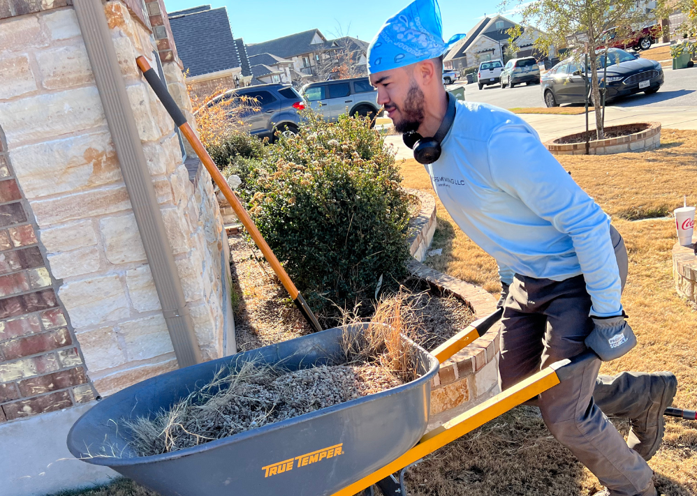 Yard Clean Up