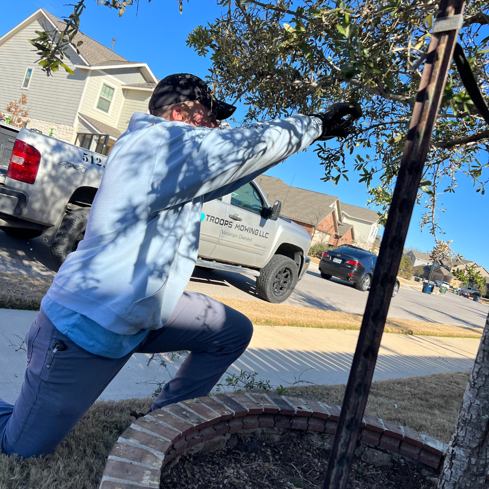 Tree Trimming