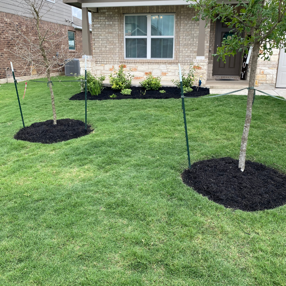Landscaping
