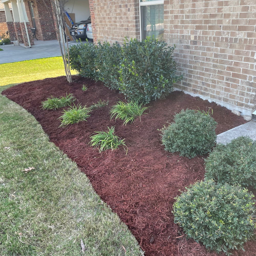Plant Installation