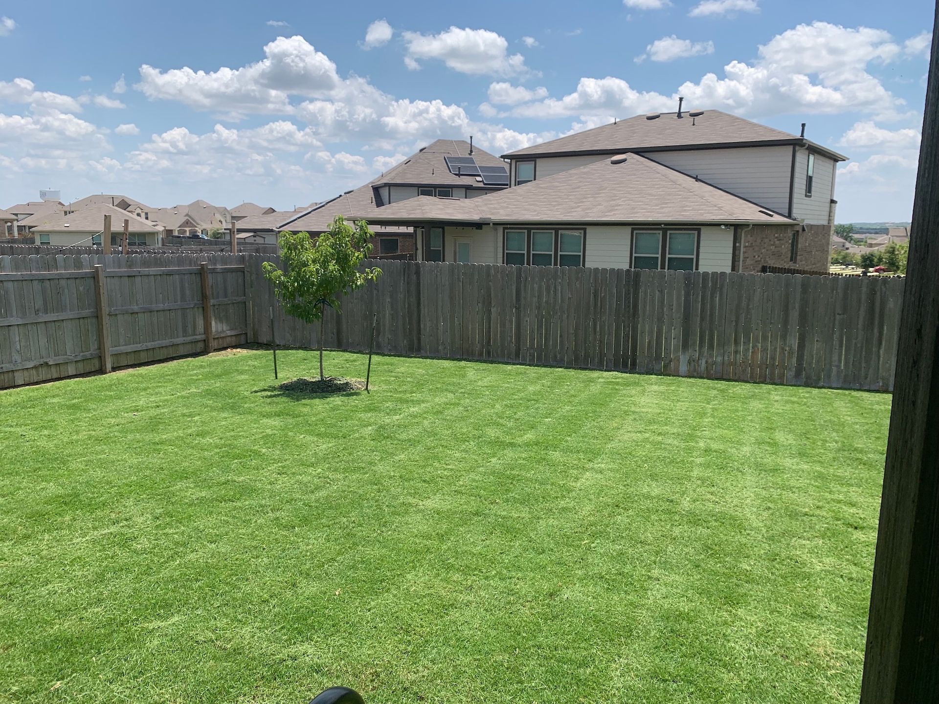Lawn Care