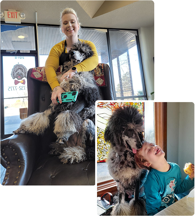 Verageralt Dog With Woman And Kid