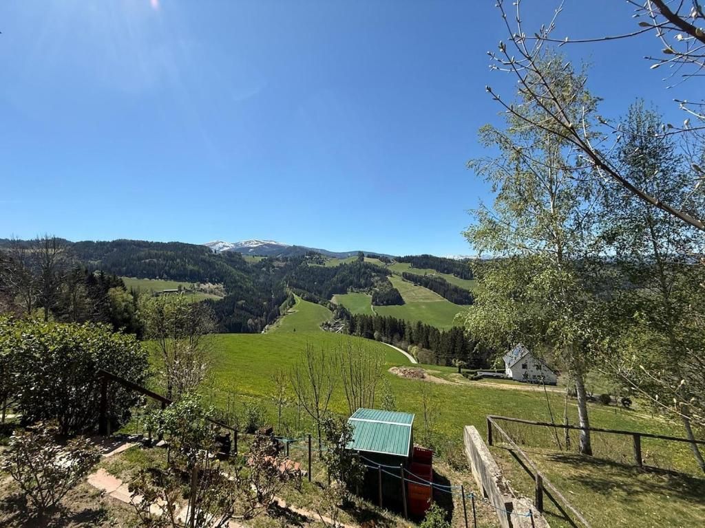 Sonniges grünes Tal mit Weinbergen, Hügeln und klarem blauen Himmel
