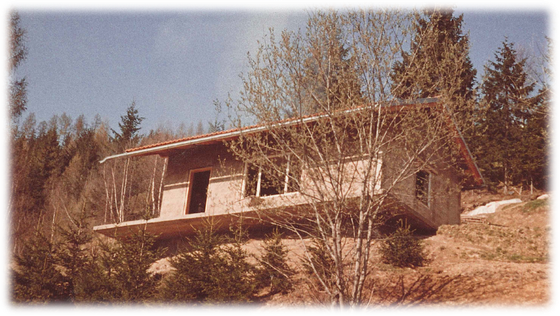 Rustikale Hütte an einem bewaldeten Hang, umgeben von Bäumen und trockenem Gras.