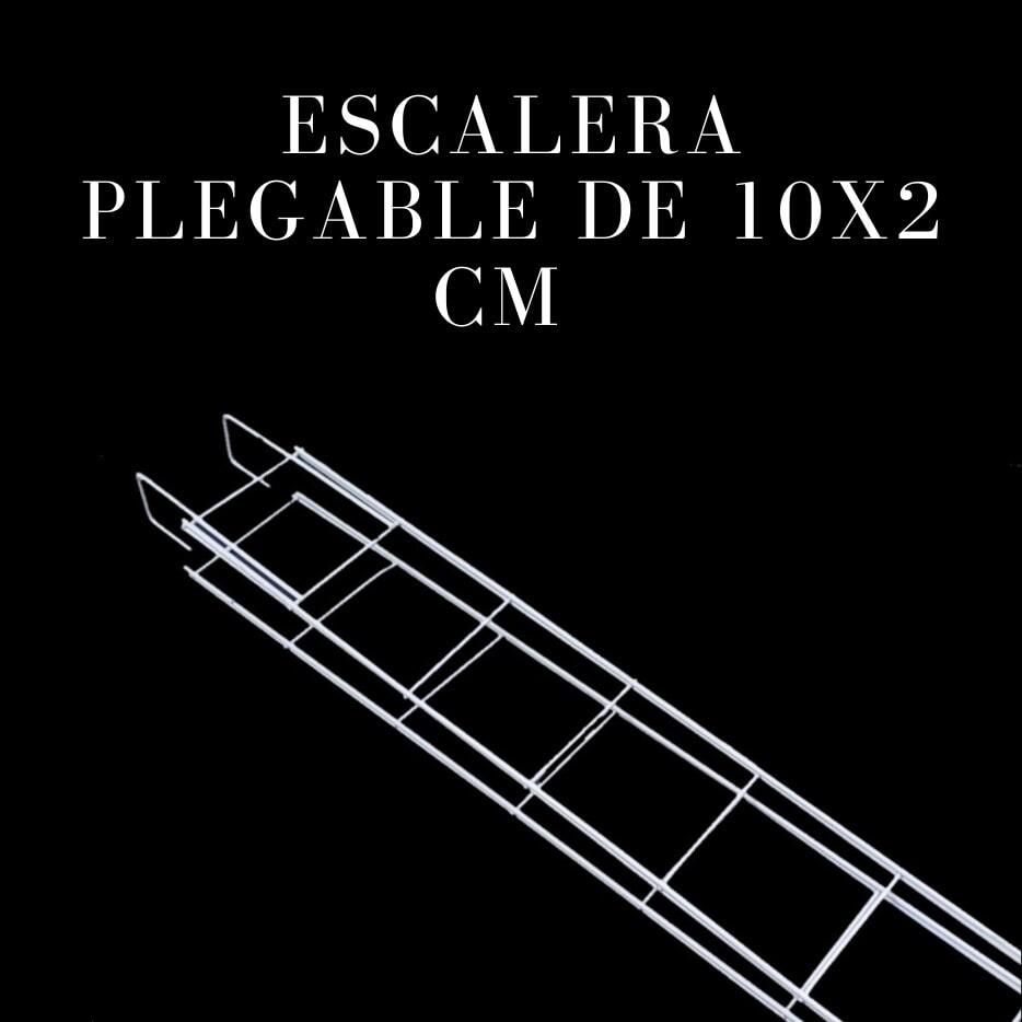ARTÍCULOS DE EXHIBICIÓN DEL CENTRO 