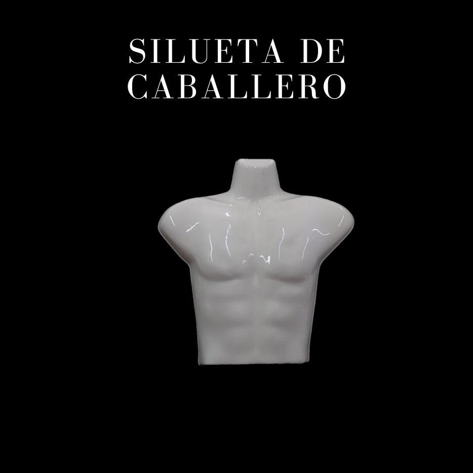 ARTÍCULOS DE EXHIBICIÓN DEL CENTRO 