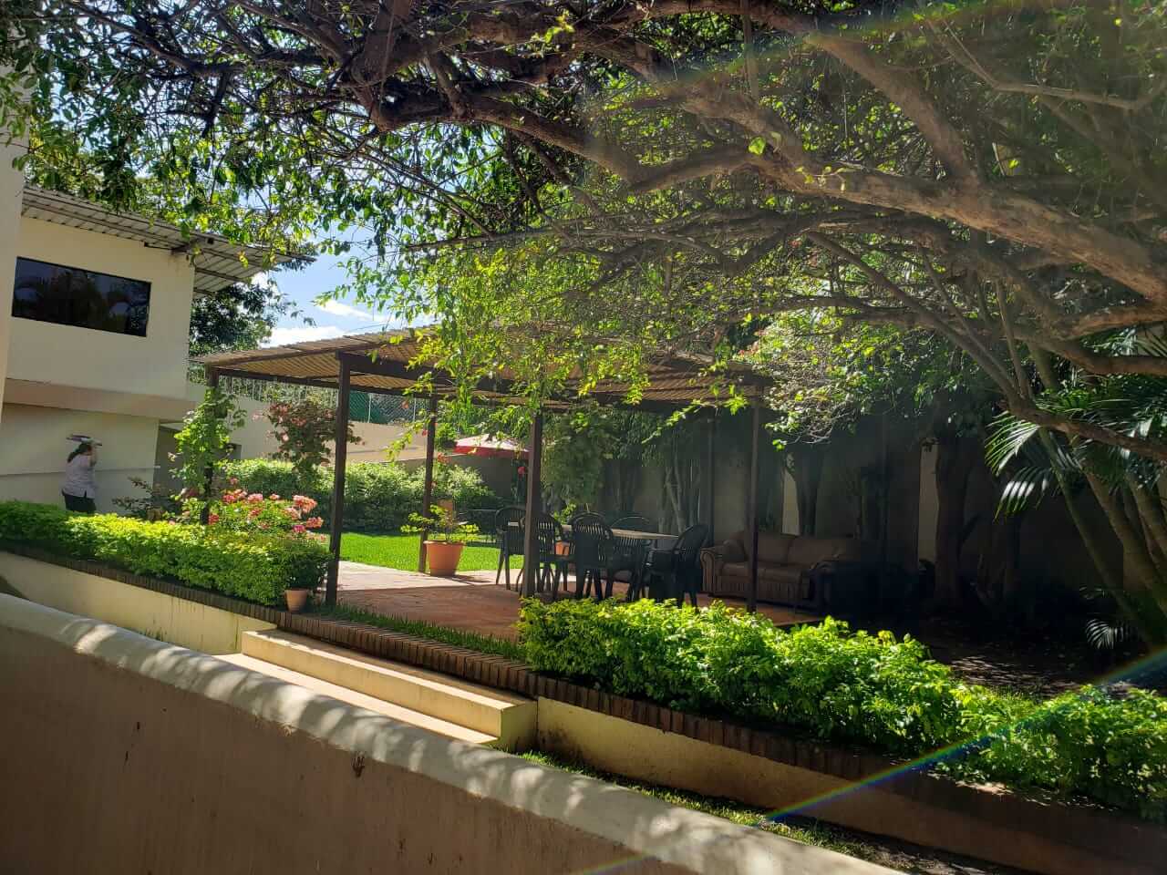 Patio ajardinado sombreado con exuberante vegetación, un sendero y un edificio junto a un muro de contención
