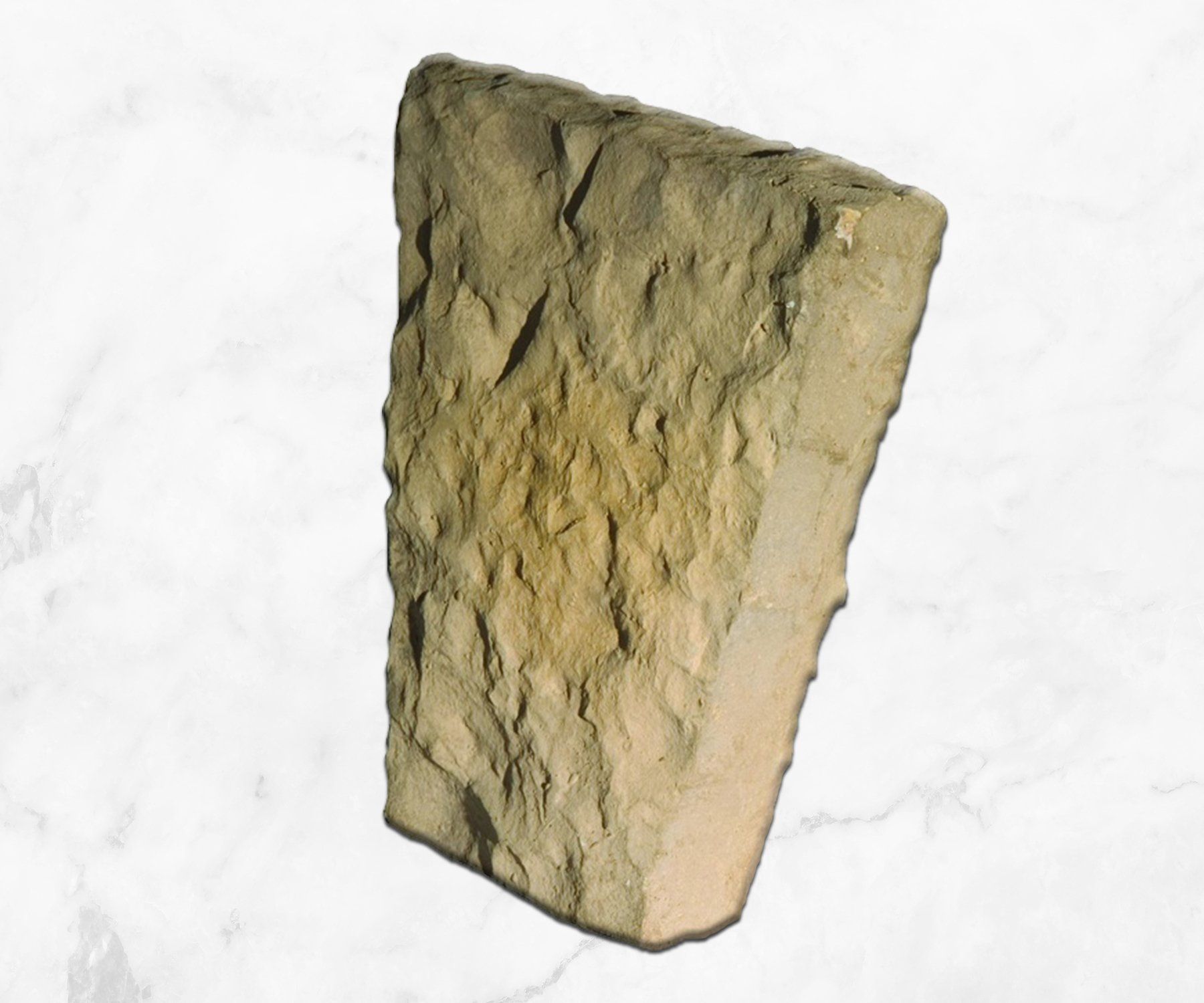 Tan textured rock or stone fragment with rough, irregular surface on a white background