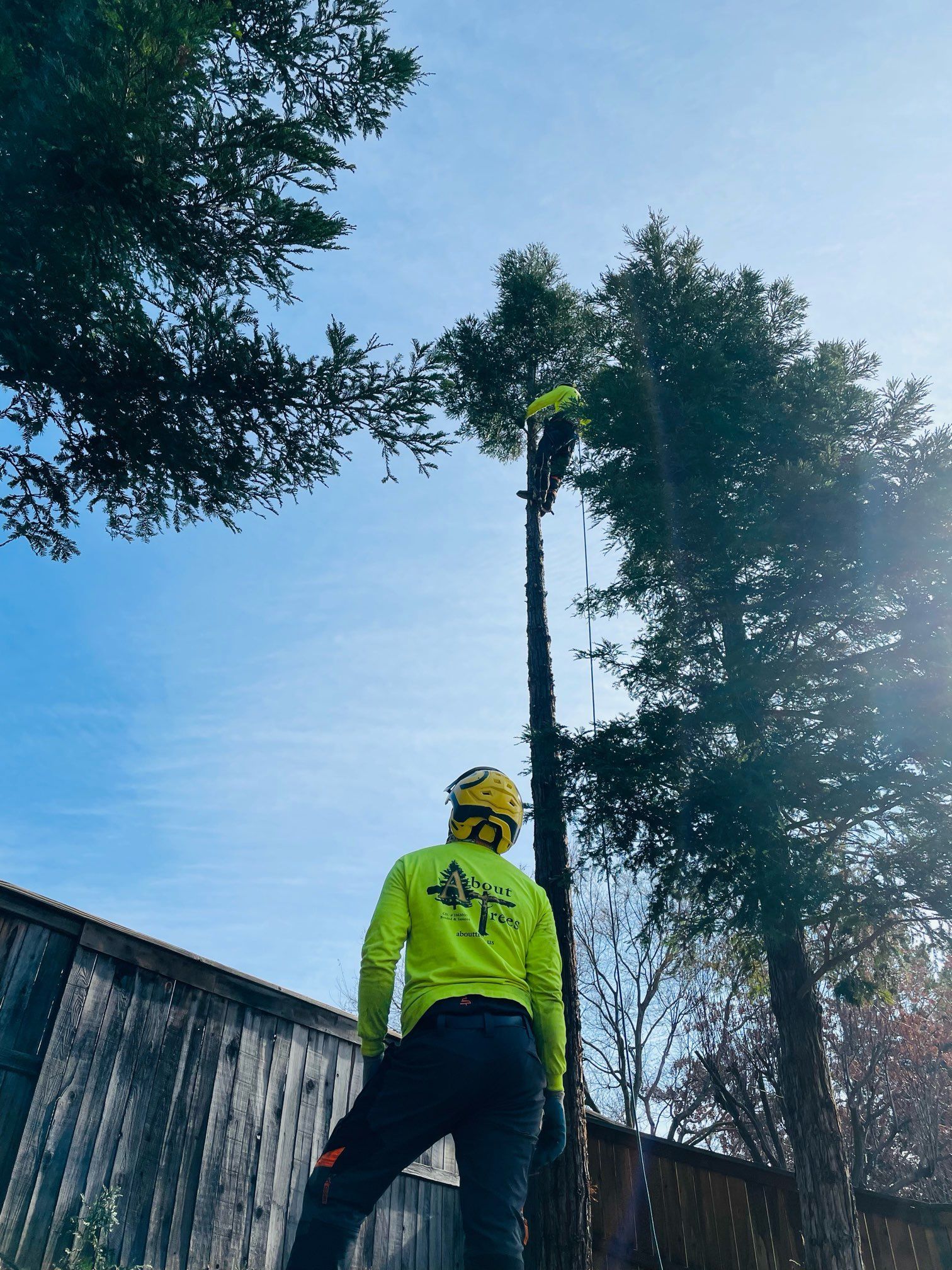 A Man Stand beside the Tree
