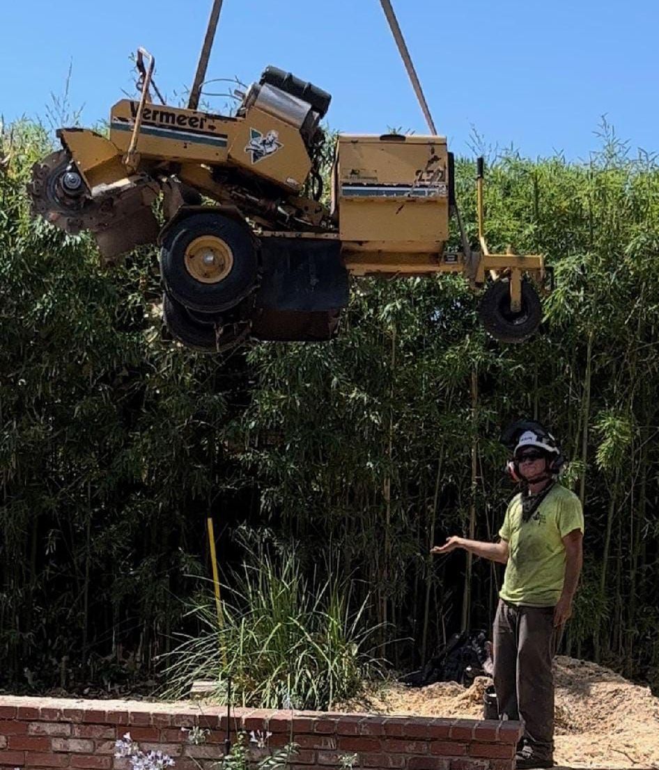 A Stump Grinding