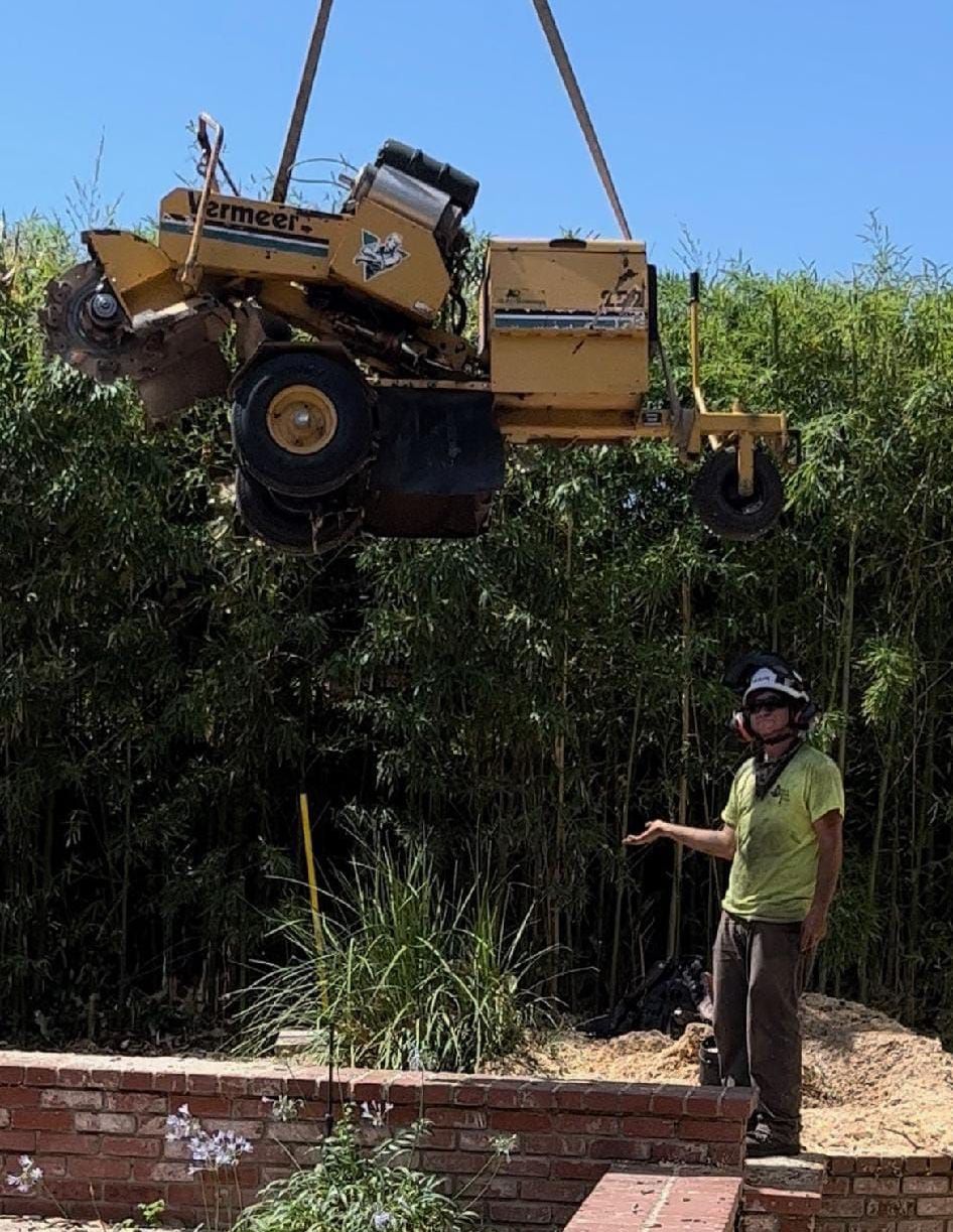 About Trees lifts a stump grinder into a back yard in Redding, CA