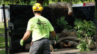 About Trees: Defensible Space
