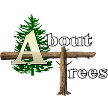 Logo of About Trees