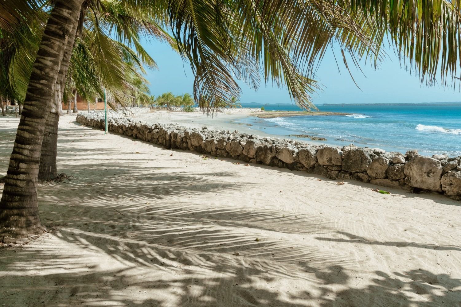Sandy beach with palm trees casting shadows, stone wall, and ocean under a blue sky.