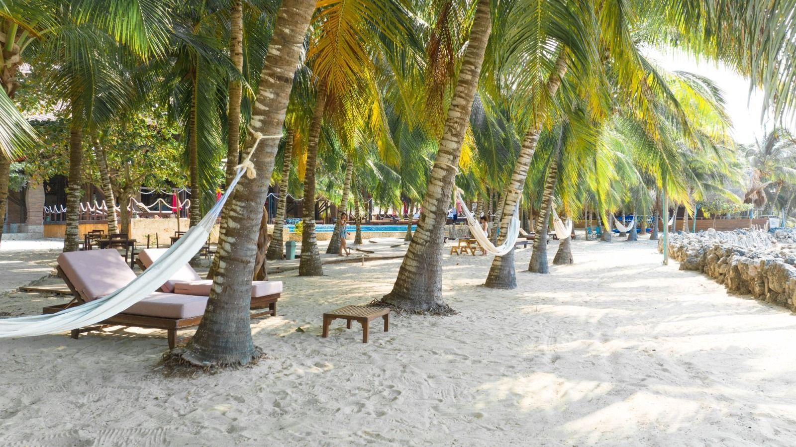 Sandy beach lined with palm trees, hammocks, and lounge chairs.