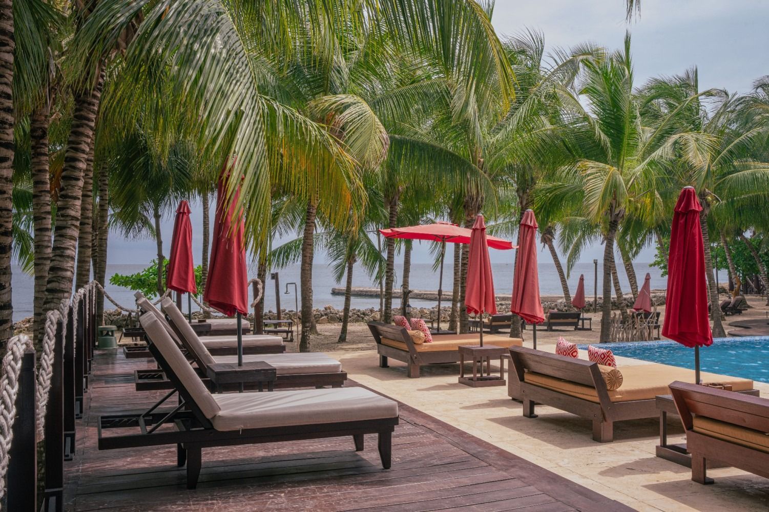 Lounge chairs by a pool under red umbrellas, palm trees in background.