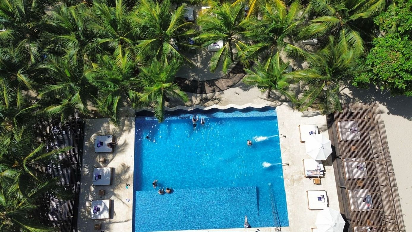 Overhead view of a swimming pool surrounded by palm trees and beach chairs. People swim in the blue water.