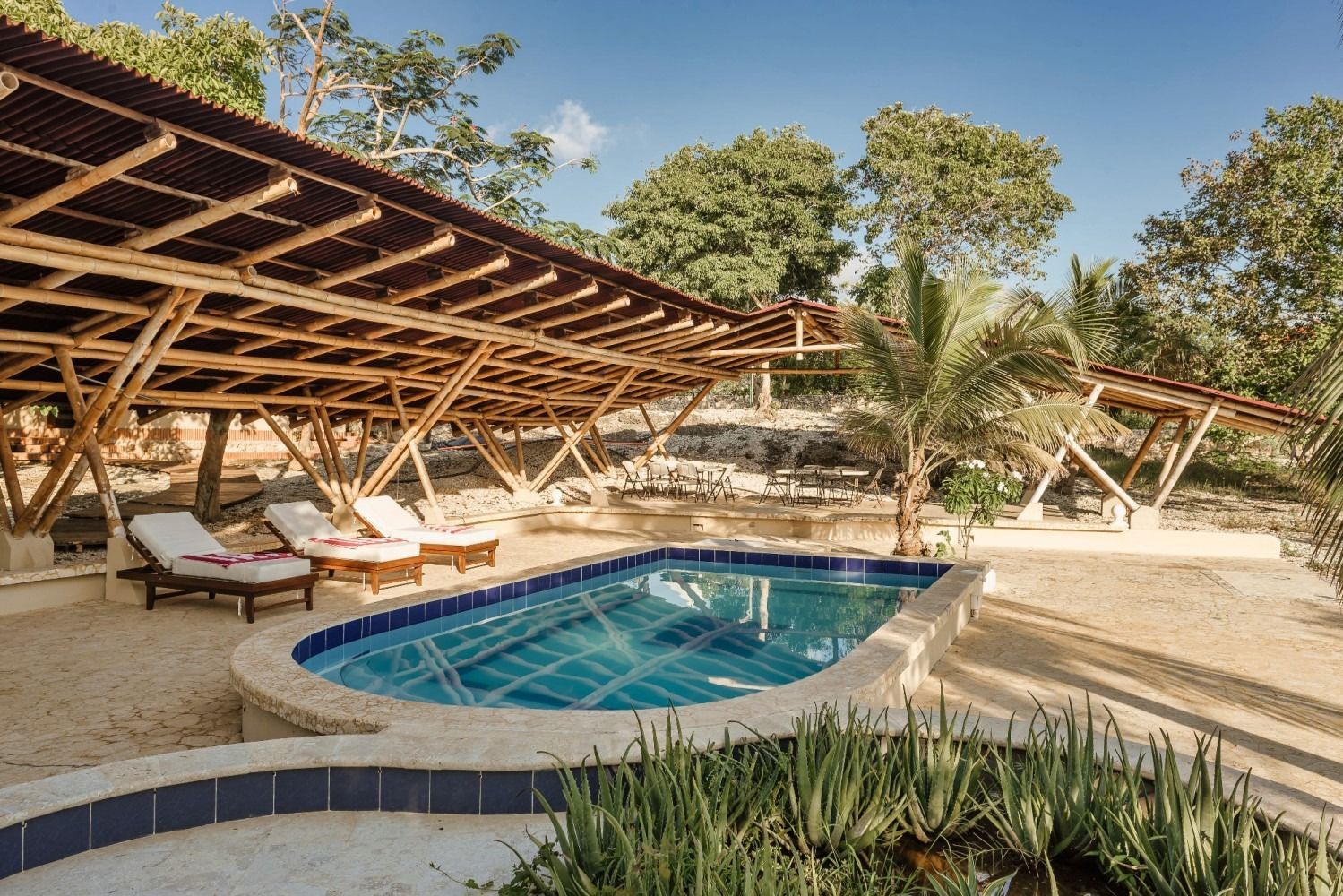 Pool with sunbeds under a bamboo structure, surrounded by plants and trees.